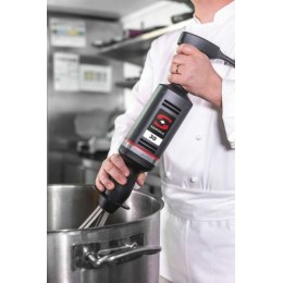 Mixer plongeant XM-32