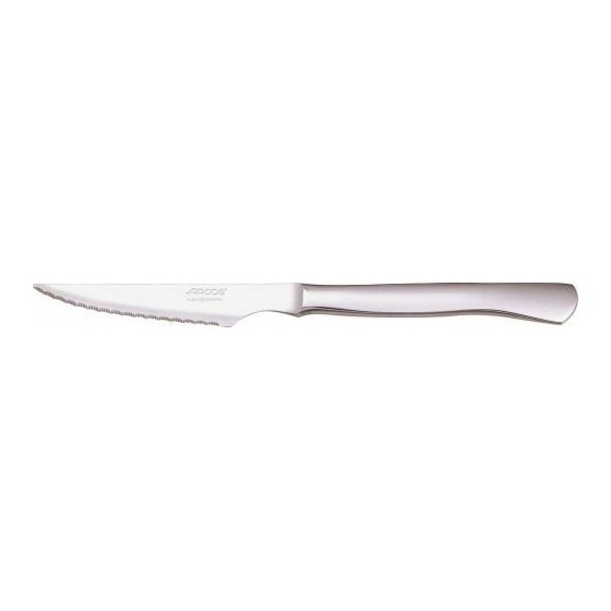 Couteau à Steak Inox 24 cm Monobloc