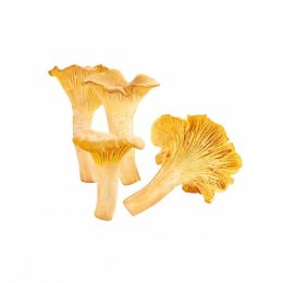 Girolles entières - par 500 g