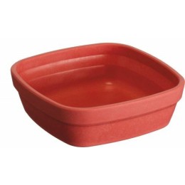 Ravier végétal réutilisable Lilitouch rouge 25 cl 11 x 11 cm - par 24