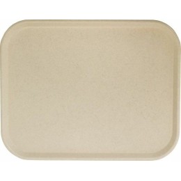 Plateau polyester Poly-One Comet vanille - par 20