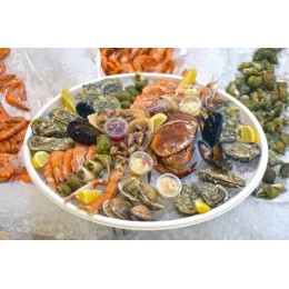 Plateau fruits de mer bagasse rond Ø 27,9 cm/ 30