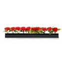Barrette noire roses rouges 25 cm - par 12