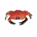 Crabe des mers artificiel 20 x 13 cm