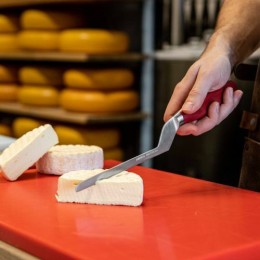 Couteau à fromage pâte molle rouge Boska 14 cm