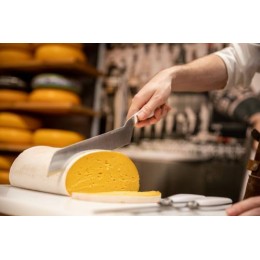 Couteau à fromage pâte mi-dure blanc 21 cm