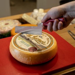 Couteau à fromage pâte mi-dure rouge 21 cm