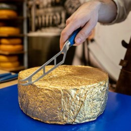 Couteau à fromage polyvalent bleu Boska 14 cm
