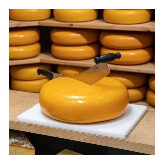 Couteau à fromage Hollandais 30 cm