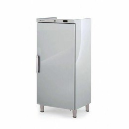 Armoire réfrigérée positive RGVI-601 inox GN 2/1 600 l