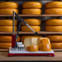 Coupe fromage Divide O'Matic rouge