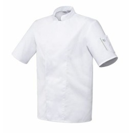 Veste de cuisine Robur manche courtes Nero blanche T2