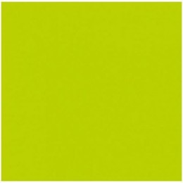 Serviette non tisse kiwi 40 x 40 cm - par 50