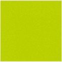 Serviette non tisse kiwi 40 x 40 cm - par 50