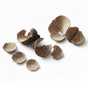 Truffes noires pelures - par 100 g