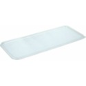 Couvercle jetable PET pour bac kata crock 18 x 52,5 x 1 cm - par 100