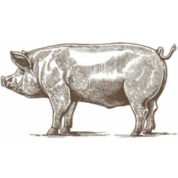 Sang de porc déshydraté - par 20 kg