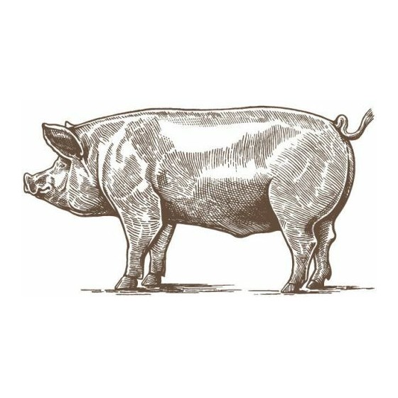 Sang de porc déshydraté - par 20 kg Sang de porc déshydraté - par 20 kg