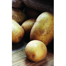 Flocons de pomme de terre - par 20 kg