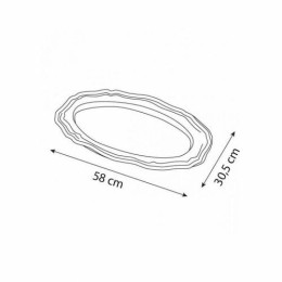 Plateau argenté PET 59 x 31 cm - par 50