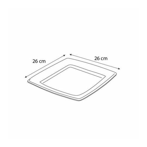 Assiette carrée bio 26 cm en bagasse - par 40