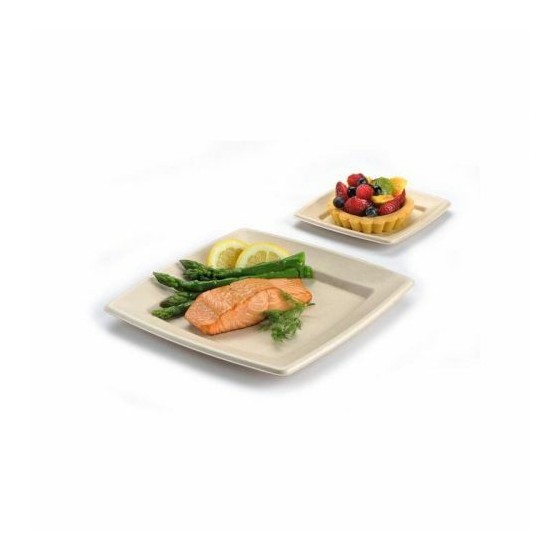 Assiette carrée bio 26 cm en bagasse - par 40