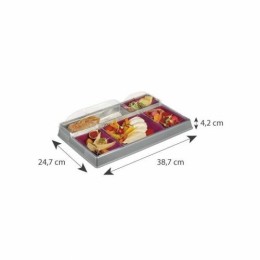 Plateau repas 5 compartiments gris et prune 38,7 x 24,7 x 8 cm - par 20