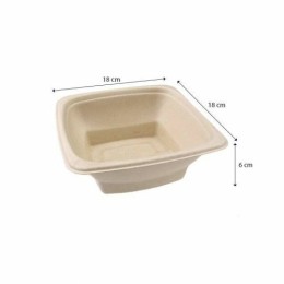 Saladier bio carré 100 cl 18 cm - par 75