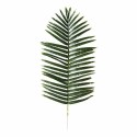 Feuille de palmier 120 x 50 cm