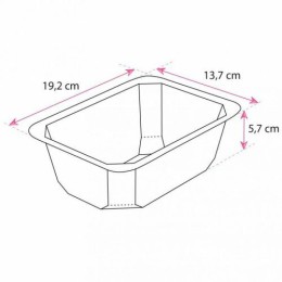 Barquette carton scellable décor nature 100 cl - par 65