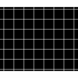 Plaque de glu 1 face noire 160 x 195 mm - par 6