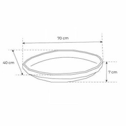Plateau fruits de mer ovale 70 x 40 cm - par 25
