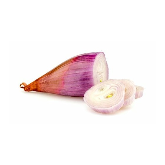 Échalote pulpe stérilisée - par 10 kg Échalote pulpe stérilisée - par 10 kg