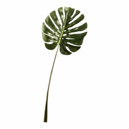 Feuille de philo 77 cm
