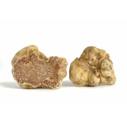 Brisures de truffe d'été - par 1 kg