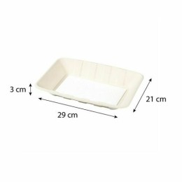 Barquette bagasse avec buvard 29 x 21 x 3 cm - par 150