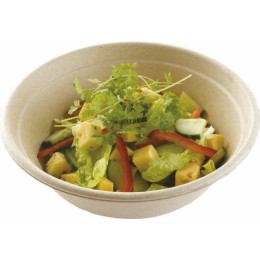 Saladier pulpe rond en bagasse 1000 ml - par 75