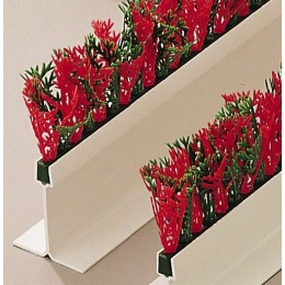 Séparateur vitrine cyprès vert et rouge 75 x 5 cm