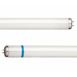 Tube actinique anti-éclats BL368 36W T8 60 cm