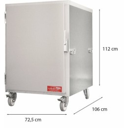 Chariot étuve traiteur ventilée 10 niveaux CT20V Delrue