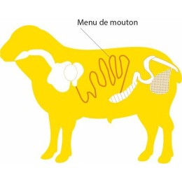 Boyaux de mouton ⌀ 22/24 AB - par 15 m