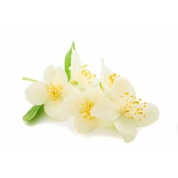 Arôme fleur d'oranger - par 1 L