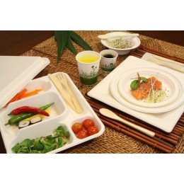 Plateau repas bagasse 5 compartiments - par 50