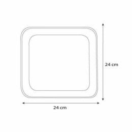Assiette carrée 24 cm en feuille de palme - par 25