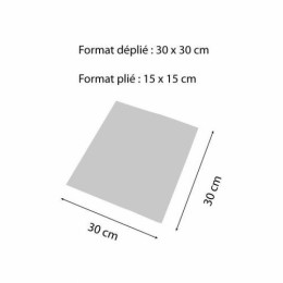 Serviette ouate blanche 30 x 30 cm 2 feuilles - par 200