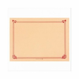 Set de table papier ivoire 31 x 43 cm - par 500