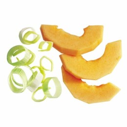 Disque éminceur 10 mm Expert Robot Coupe