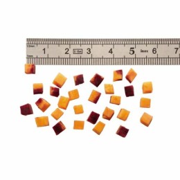 Disque brunoise 4 x 4 x 4 mm Expert Robot Coupe