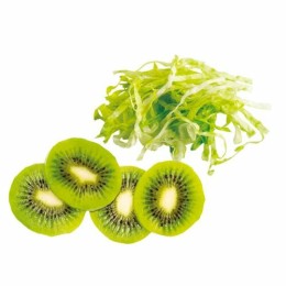 Disque éminceur 0,5 cm pour Robot Coupe