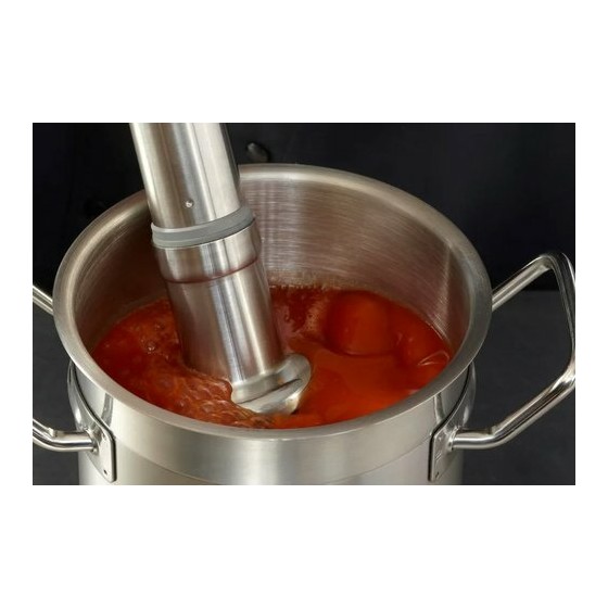 Mixer plongeant CMP 250 Vitesse Variable 230V monophasé